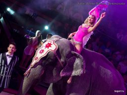 Családi hétvége a Fővárosi Nagycirkuszban